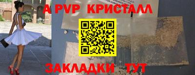 СК Кандалакша
