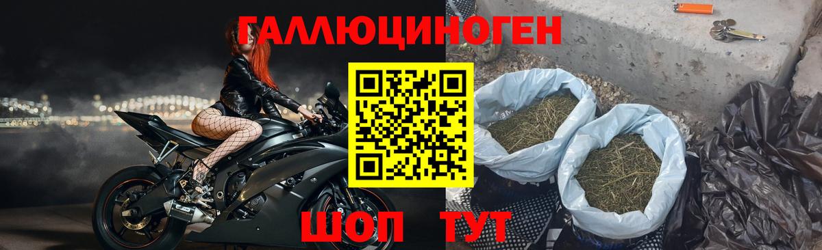Псилоцибиновые грибы Cubensis Краснокаменск